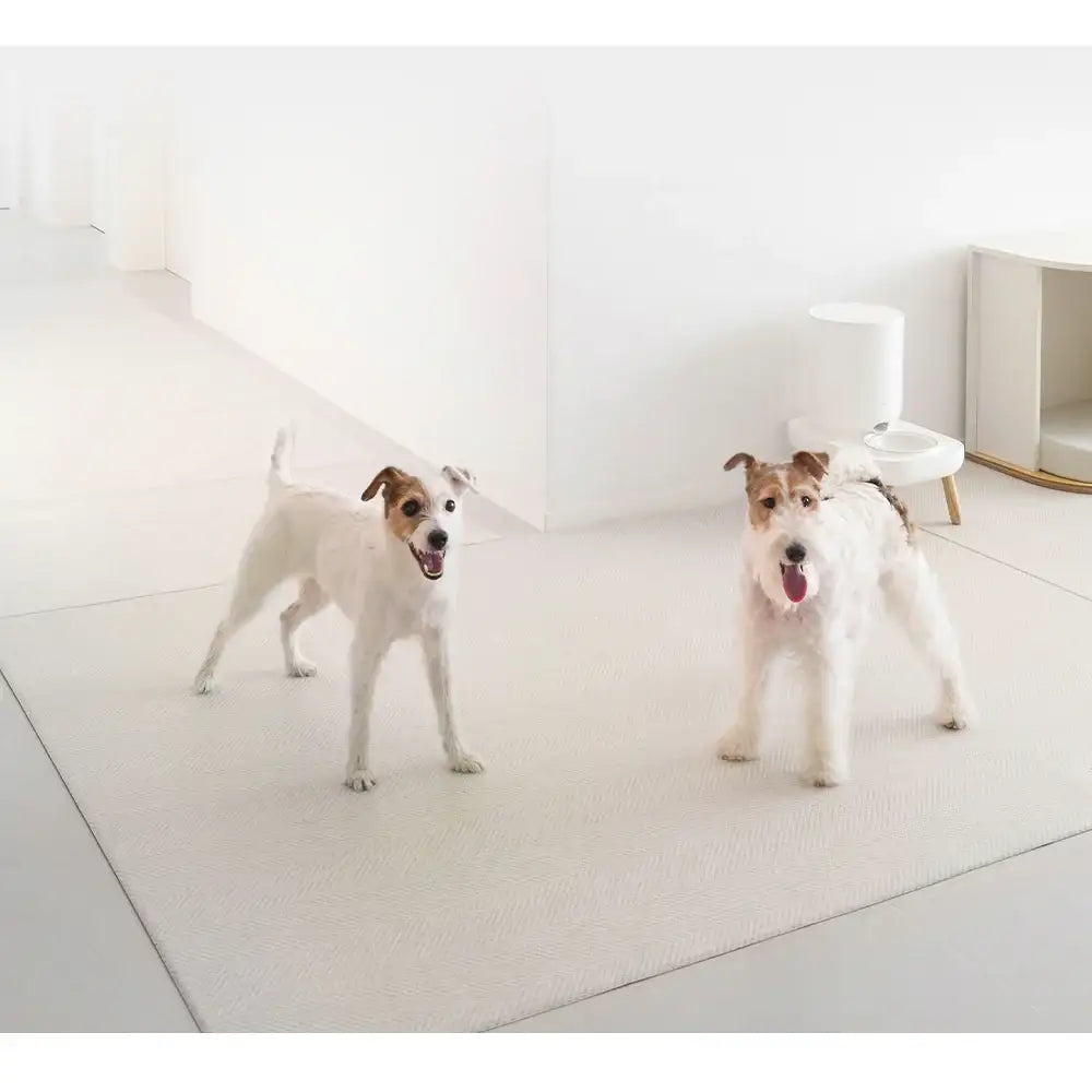 Duit - Pet Run Run Mat - Duit - Home & Living, Accessories - Harumio