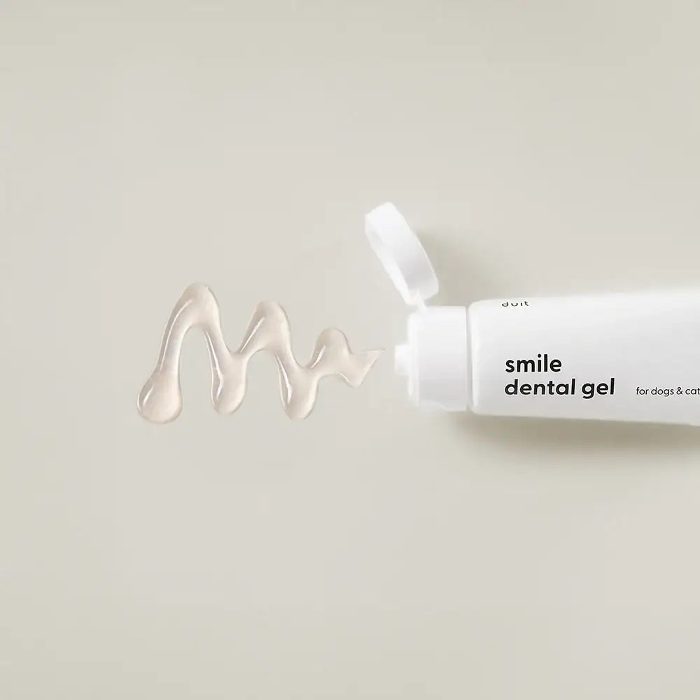 Duit - Pet Dental Pouch Set - Duit - Home & Living, Accessories - Harumio Duit - Pet Dental Pouch Set - Duit - Home & Living, Accessories - Harumio