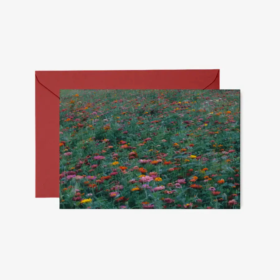 Kim Ji Neok - Field of Flowers Postcard & Envelope Set - Marpple Shop - Postcard - Harumio