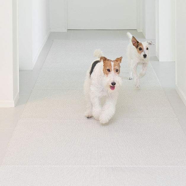 Duit - Pet Run Run Mat - Duit - Home & Living, Accessories - Harumio