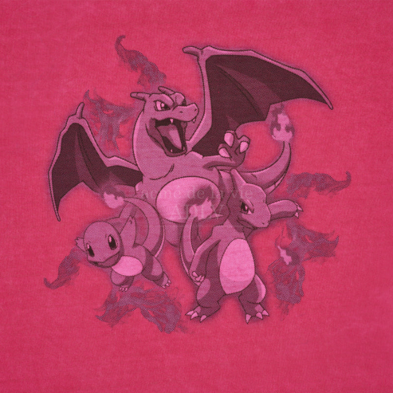 ADLV x Pokemon - Fairi Evolution Pigment Short Sleeve T-shirt