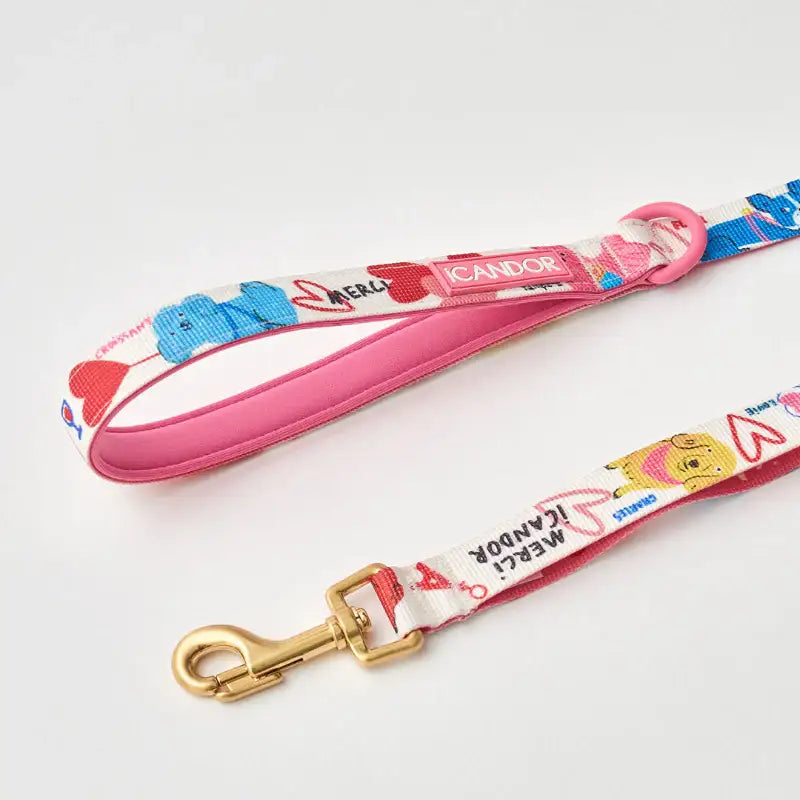 iCANDOR - Gentle Leash - iCANDOR - Pet Lead - Harumio