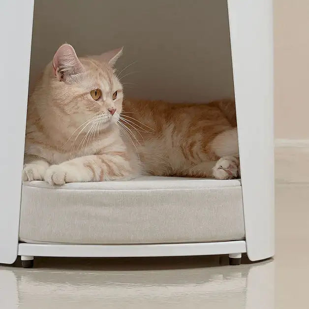 Duit - Pet Round Table House Cushion - Duit - Home & Living, Accessories - Harumio Duit - Pet Round Table House Cushion - Duit - Home & Living, Accessories - Harumio