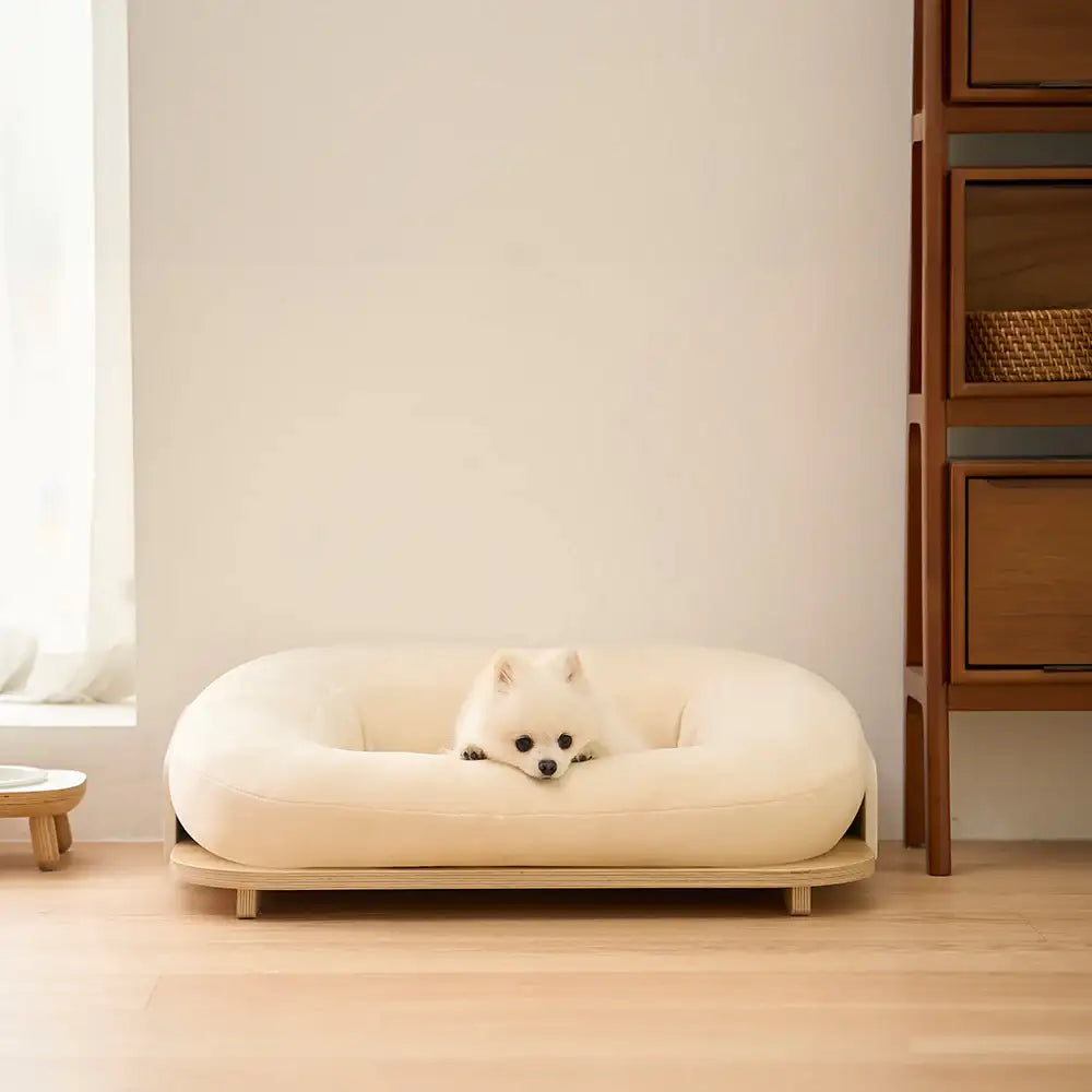 Duit - Warm & Cozy Cushion - Duit - Home & Living, Accessories - Harumio