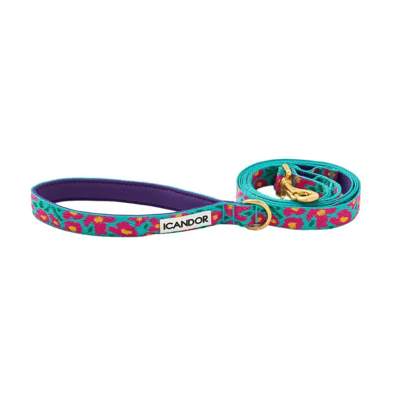 iCANDOR - Gentle Leash - iCANDOR - Pet Lead - Harumio iCANDOR - Gentle Leash - iCANDOR - Pet Lead - Harumio