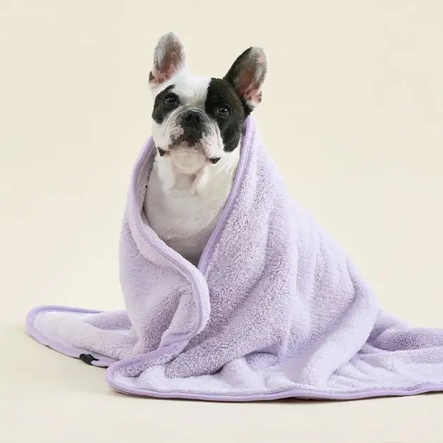Duit - Pet All Day Towel - Duit - Home & Living, Accessories - Harumio