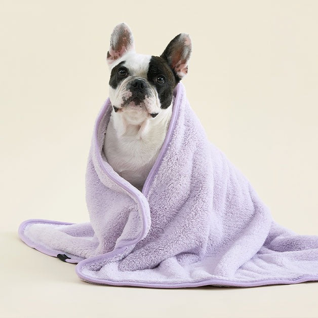 Duit - Pet All Day Towel