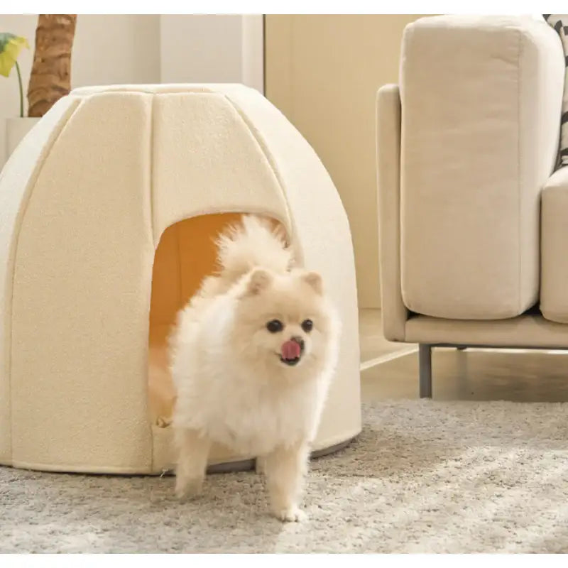 Mummur x CERESHOME - Canelé House - Mummur - Pet Cushion - Harumio