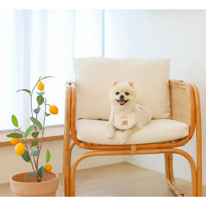 Mummur - Moomoo Bib - Mummur - Pet Cushion - Harumio Mummur - Moomoo Bib - Mummur - Pet Cushion - Harumio