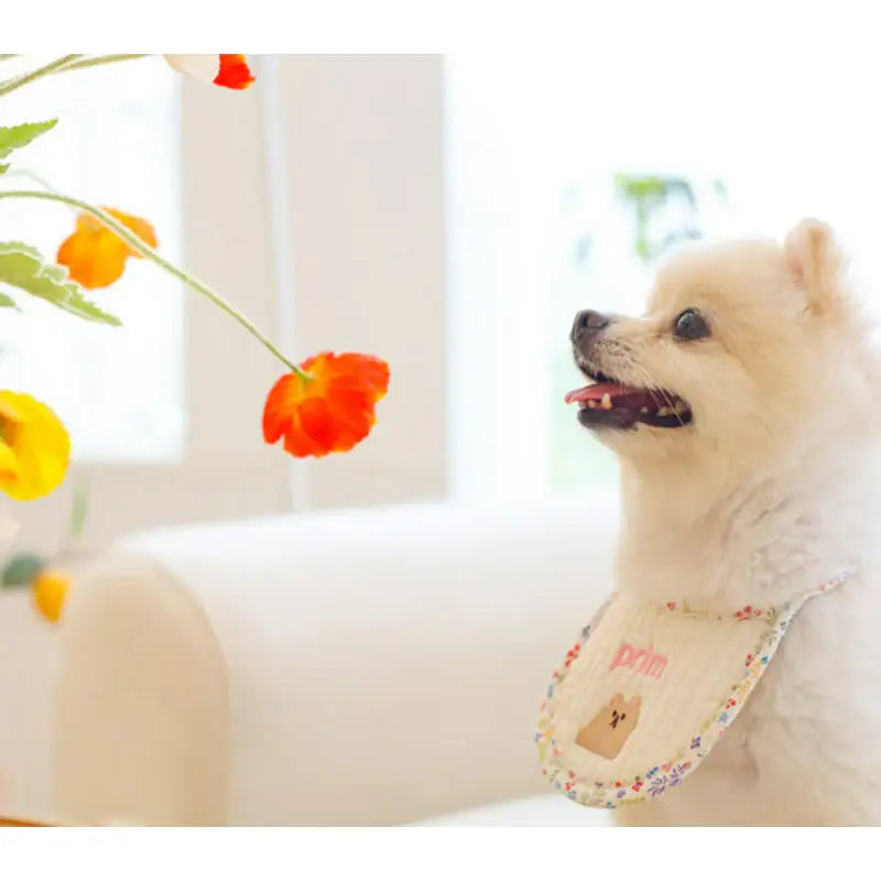 Mummur - Moomoo Bib - Mummur - Pet Cushion - Harumio Mummur - Moomoo Bib - Mummur - Pet Cushion - Harumio