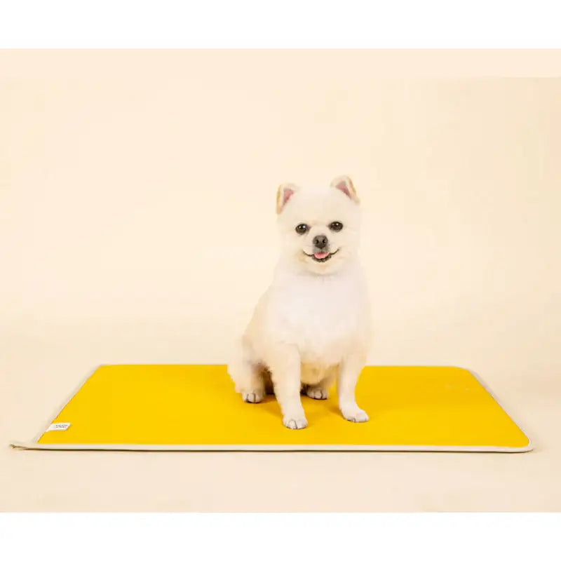 Mummur - Crepe Colorful Mat - Mummur - Pet Mat - Harumio