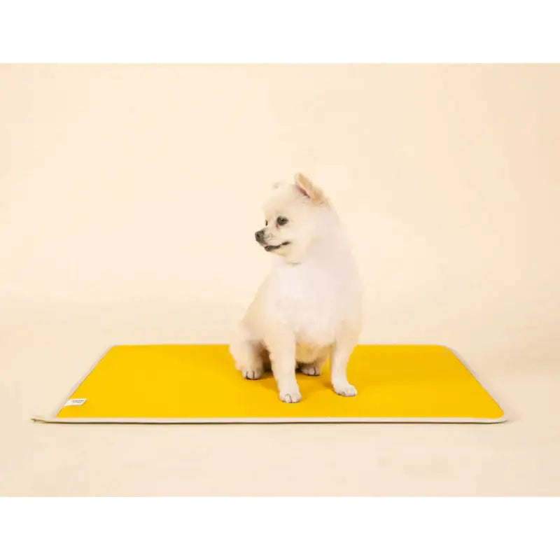 Mummur - Crepe Colorful Mat - Mummur - Pet Mat - Harumio