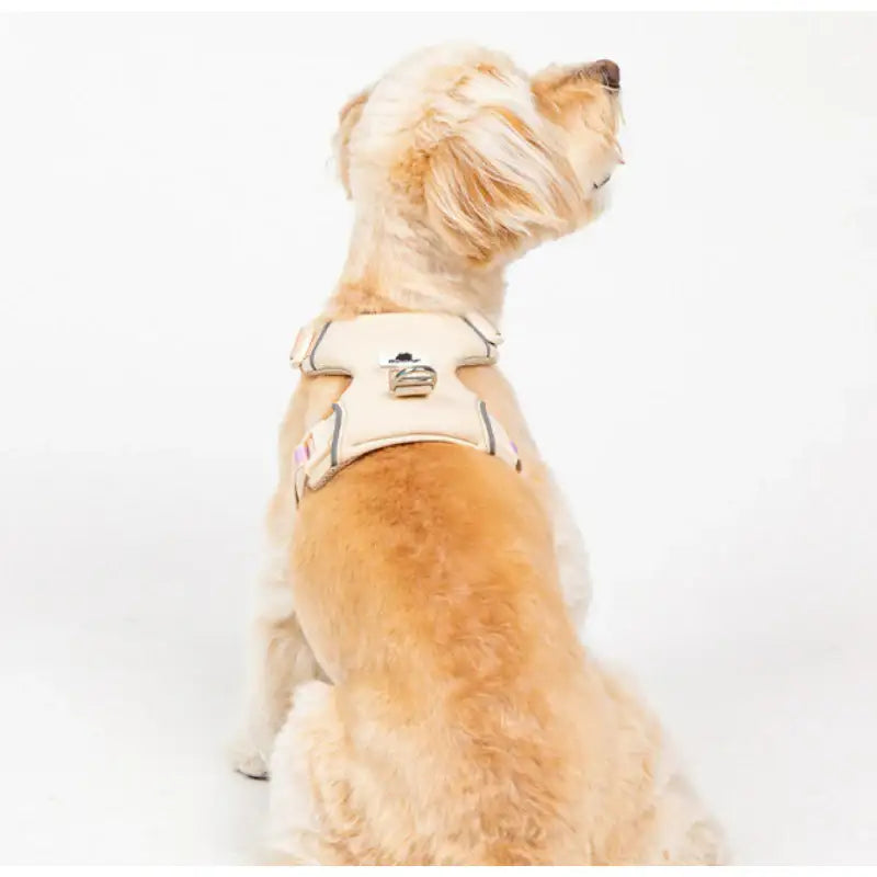 Mummur - Wearing Harness - Mummur - Pet Harness - Harumio