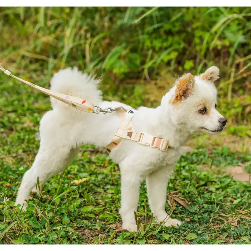 Mummur - L-Shaped Harness - Mummur - Pet Harness - Harumio