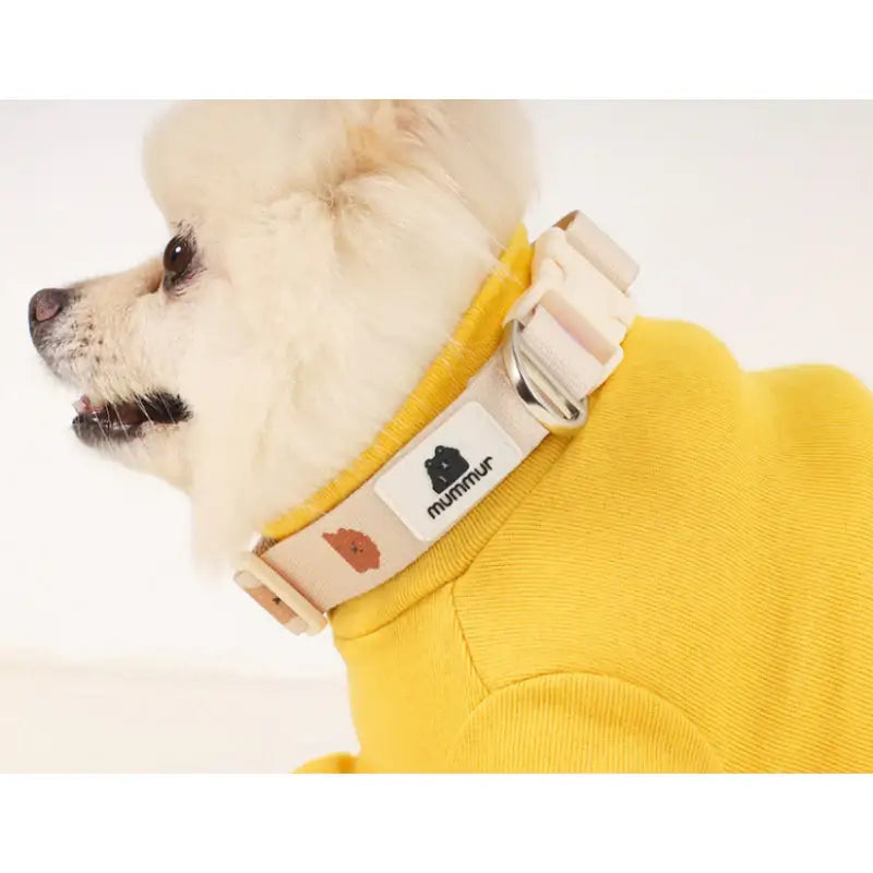 Mummur - Leash - Mummur - Pet Harness - Harumio