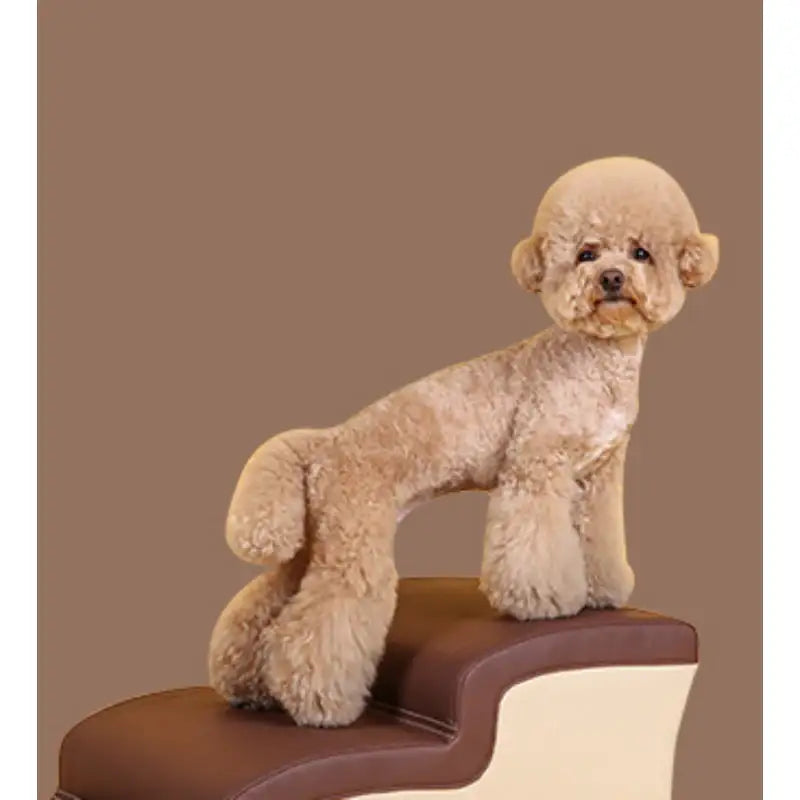 Mummur - Toast Step - Mummur - Stage - Harumio