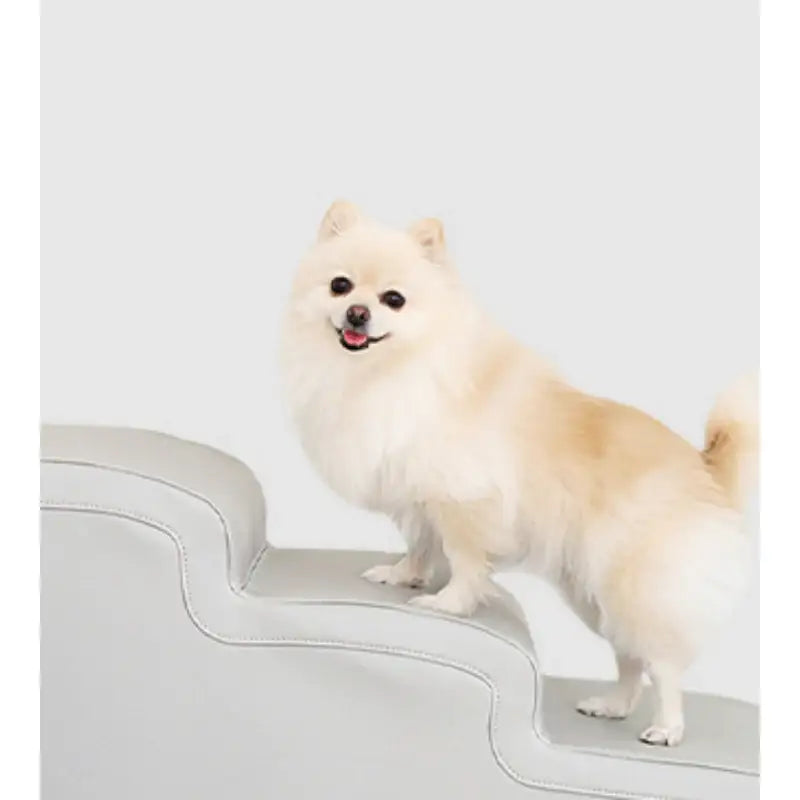 Mummur - Toast Step - Mummur - Stage - Harumio Mummur - Toast Step - Mummur - Stage - Harumio