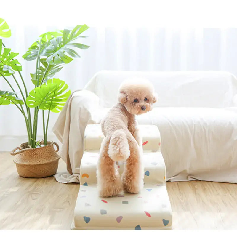 Mummur - Toast Step - Mummur - Stage - Harumio Mummur - Toast Step - Mummur - Stage - Harumio