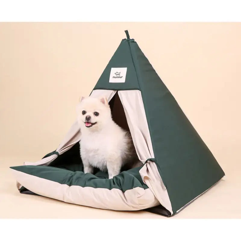 Mummur - Scone House - Mummur - Pet House - Harumio