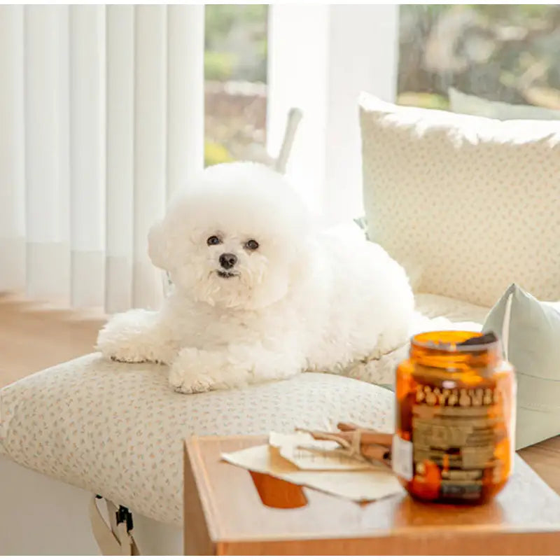 Mummur - Stella Edition Pet Driving Kit - Mummur - Bags - Harumio Mummur - Stella Edition Pet Driving Kit - Mummur - Bags - Harumio