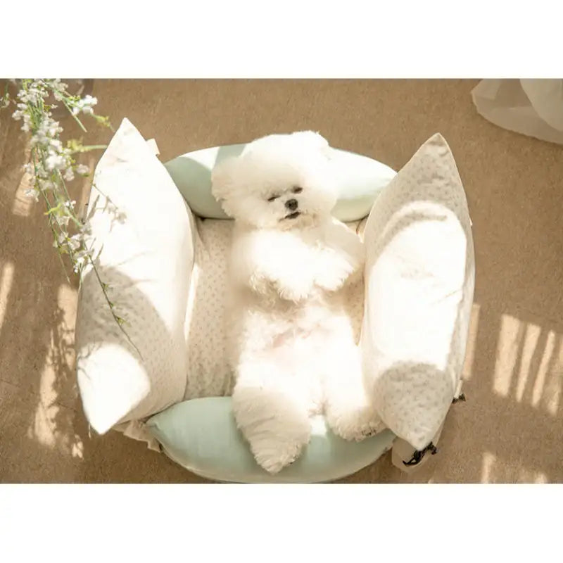 Mummur - Stella Edition Pet Driving Kit - Mummur - Bags - Harumio Mummur - Stella Edition Pet Driving Kit - Mummur - Bags - Harumio