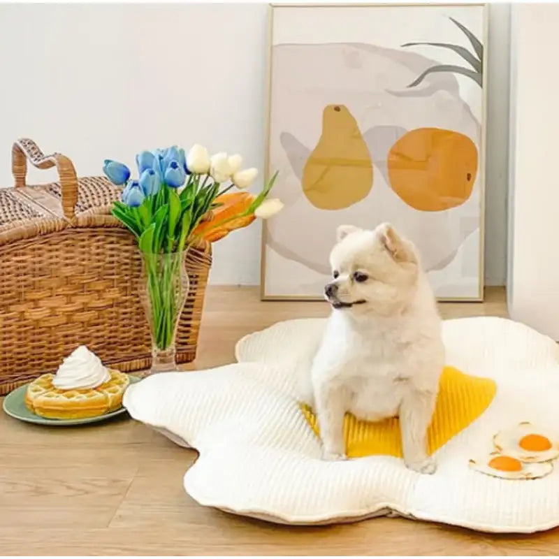 Mummur - Sunny Side Up Thin Cushion - Mummur - Pet Cushion - Harumio