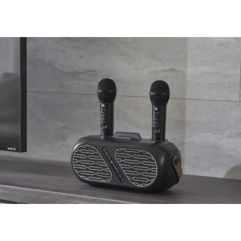 Wadiz x STILLUSTER - Wireless Microphone And Speaker - Wadiz x STILLUSTER - Home & Living, Accessories - Harumio