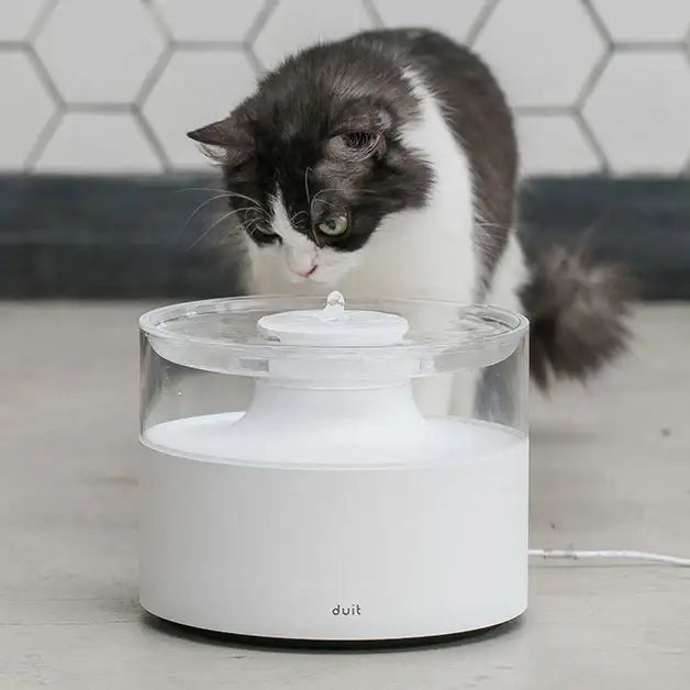 Duit - Water Pot - Duit - Home & Living, Accessories - Harumio