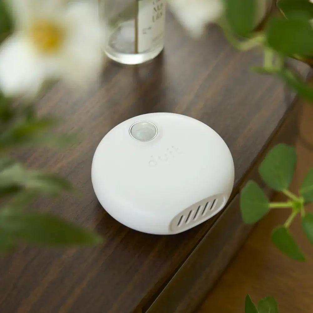 Duit - Pet Pureda - Duit - Pet Accessories - Harumio