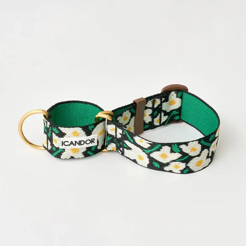 iCANDOR - Smooth Martingale Collar - iCANDOR - Pet Collars - Harumio