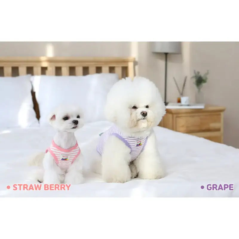 ITSDOG - Pet Jam Jam Peekaboo Sleeveless T-Shirt - ITSDOG - Pet Clothes - Harumio