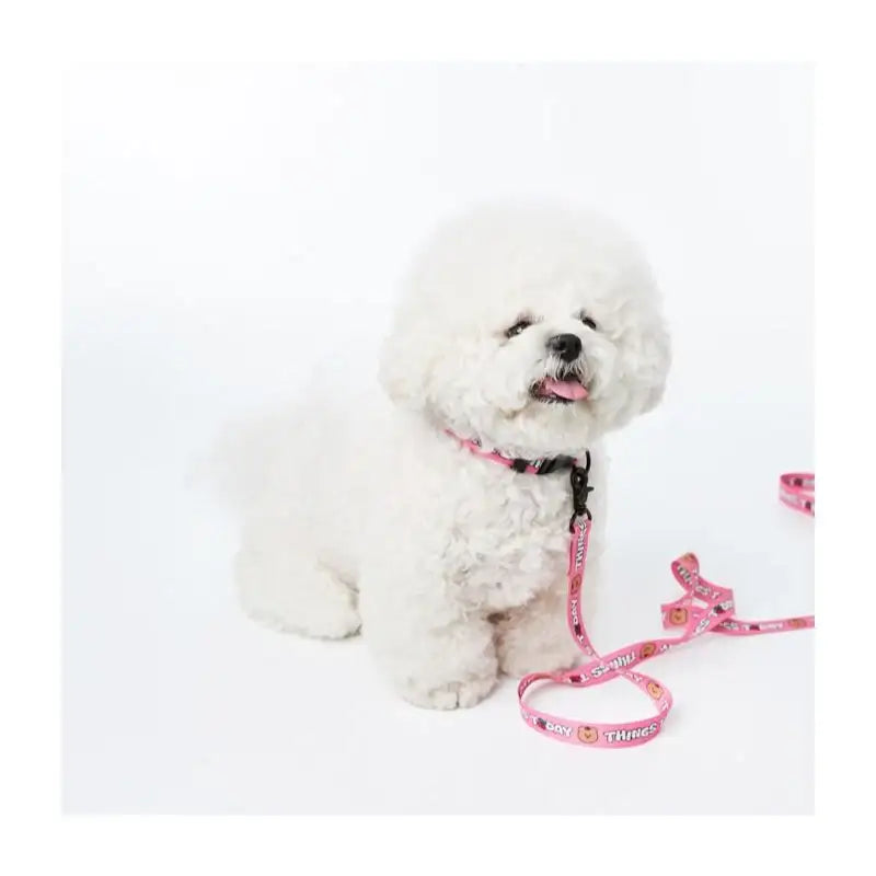 EARP EARP X KINIKINI - Dog Leash - Earp Earp - Pet Supplies - Harumio EARP EARP X KINIKINI - Dog Leash - Earp Earp - Pet Supplies - Harumio