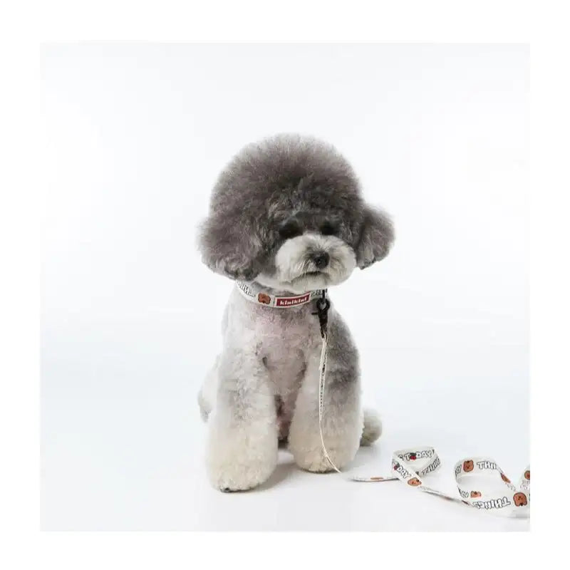 EARP EARP X KINIKINI - Dog Leash - Earp Earp - Pet Supplies - Harumio EARP EARP X KINIKINI - Dog Leash - Earp Earp - Pet Supplies - Harumio