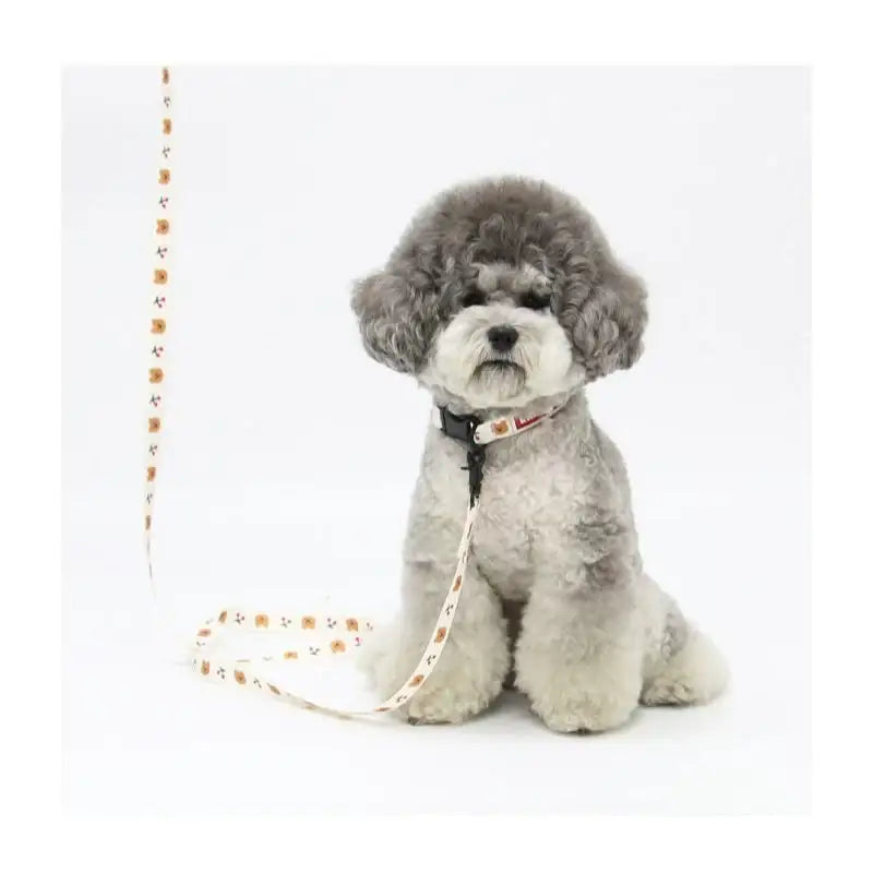 EARP EARP X KINIKINI - Dog Leash - Earp Earp - Pet Supplies - Harumio EARP EARP X KINIKINI - Dog Leash - Earp Earp - Pet Supplies - Harumio