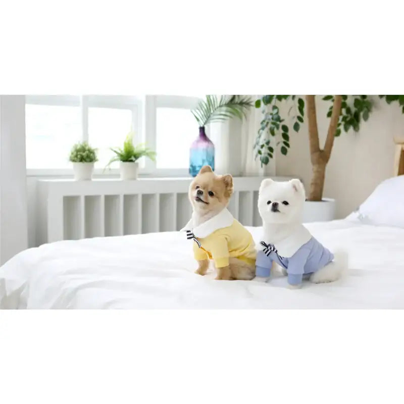 ITSDOG - Pet Yum Yum Egg T-Shirt - ITSDOG - Pet Clothes - Harumio