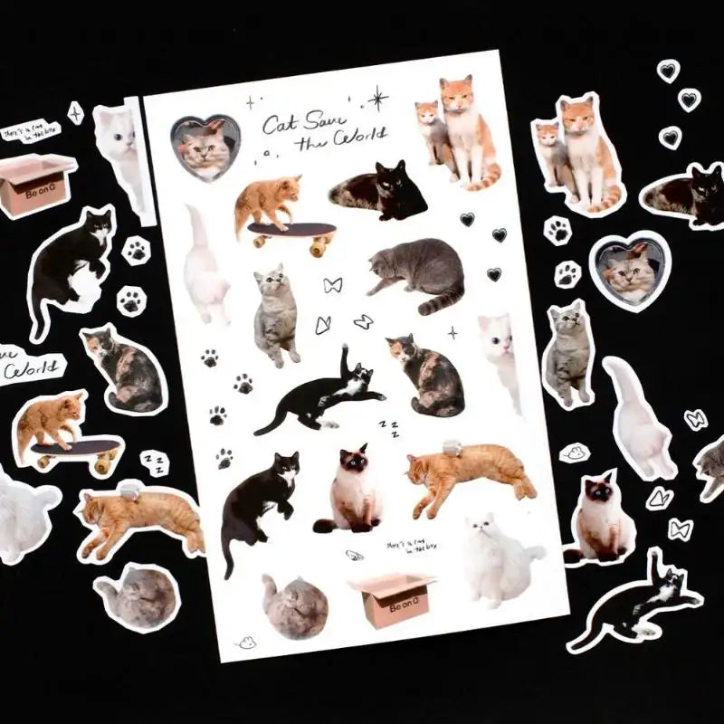 Be On D - Object Cat Sticker - Be On D - Stickers - Harumio