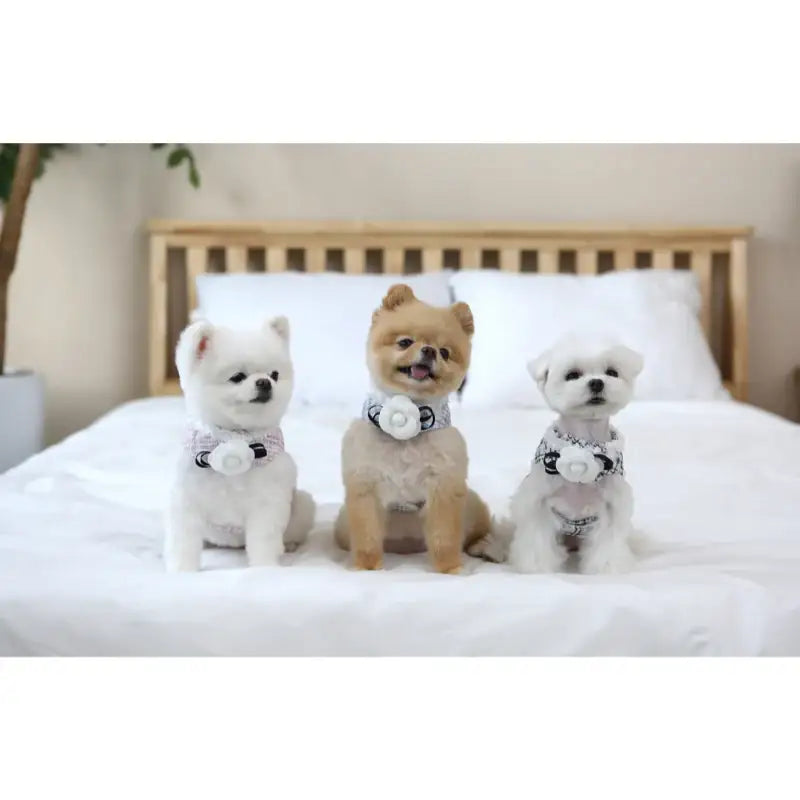 ITSDOG - Pet Camellia Tweed Harness - ITSDOG - Pet Accesories - Harumio