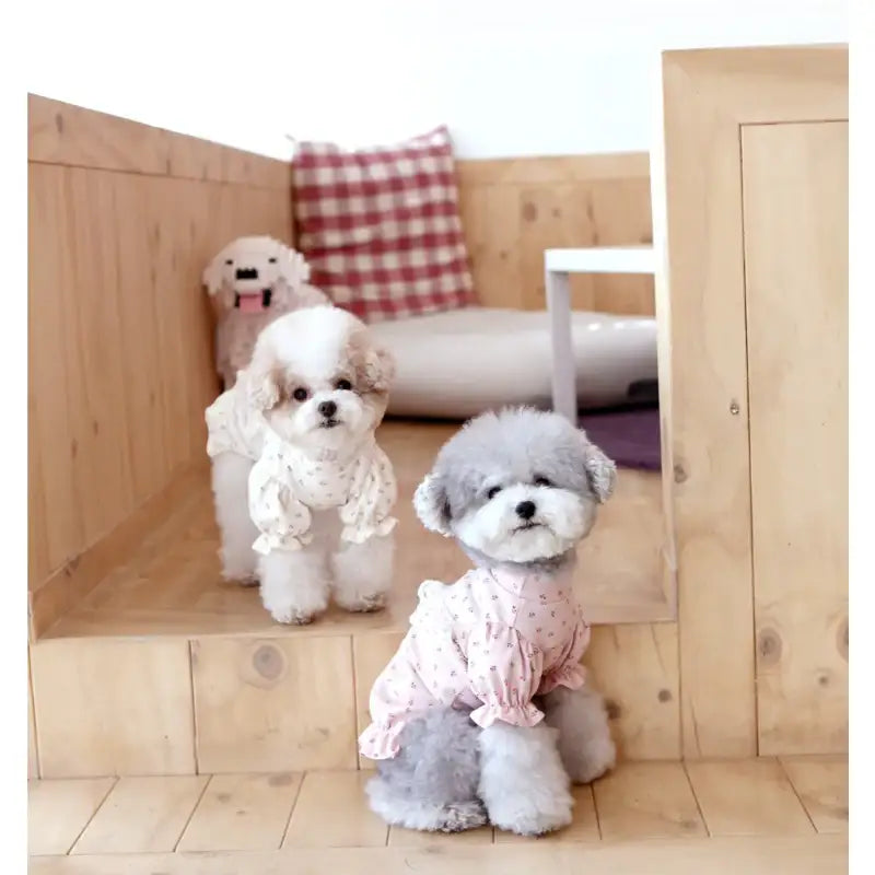 ITSDOG - Pet Versailles Puff T-Shirt - ITSDOG - Pet Clothes - Harumio