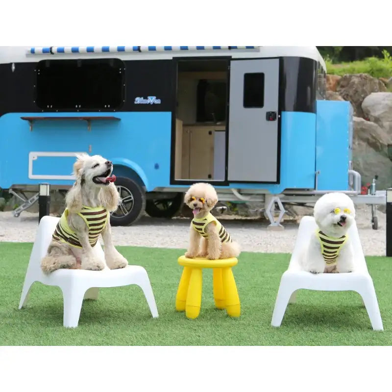 ITSDOG - Pet Honey Bee Rash Guard - ITSDOG - Pet Clothes - Harumio