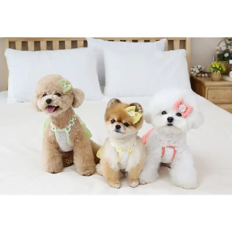 ITSDOG - Pet Daisy Balloon T-Shirt - ITSDOG - Pet Clothes - Harumio