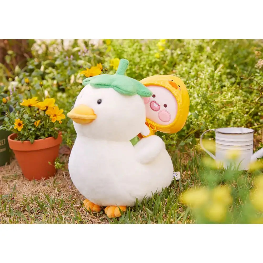 Kakao Friends - Rainy Garden Plush Doll - Kakao Friends - Home & Living, Accessories - Harumio Kakao Friends - Rainy Garden Plush Doll - Kakao Friends - Home & Living, Accessories - Harumio
