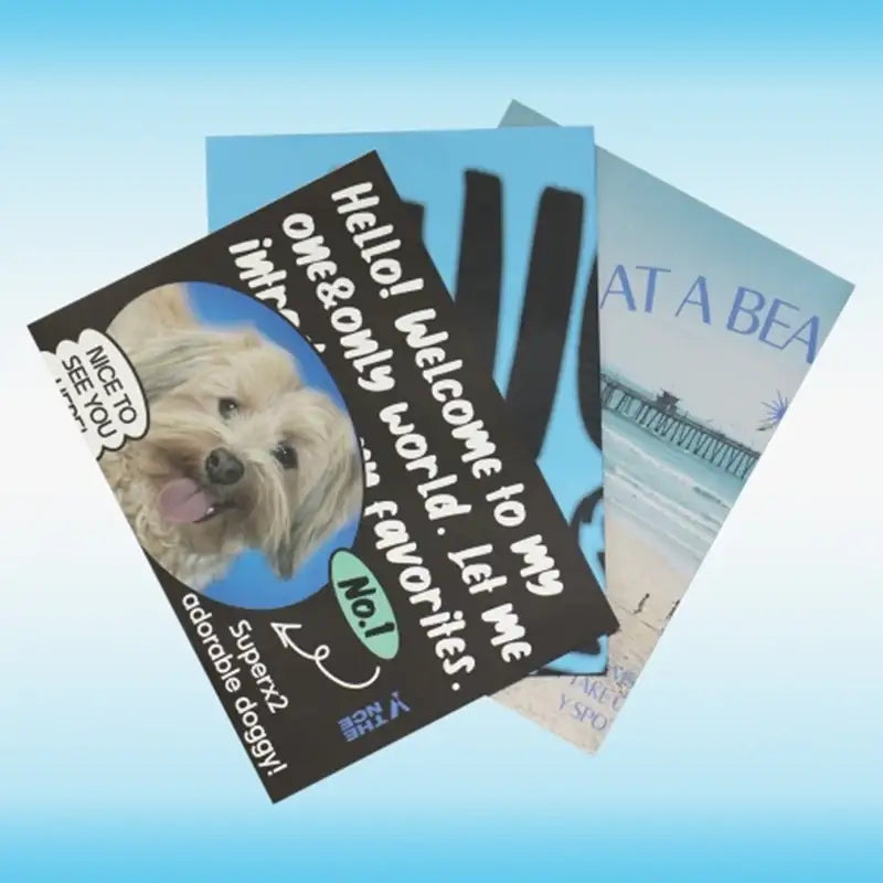 THENCE - IRD Poster - THENCE - Posters - Harumio