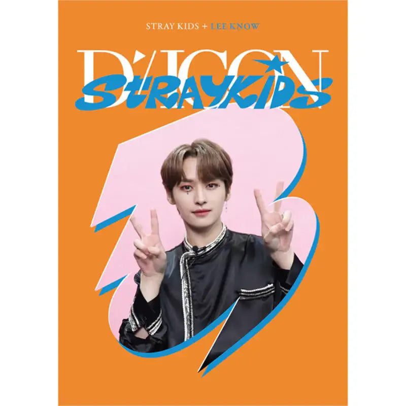 DICON - D’FESTA Mini Edition Stray Kids - Dicon - Magazines - Harumio