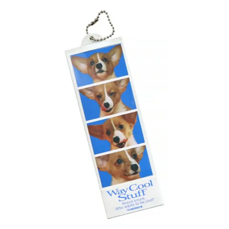 THENCE - 4 Cut Photo Key Holder - THENCE - Accessories - Harumio