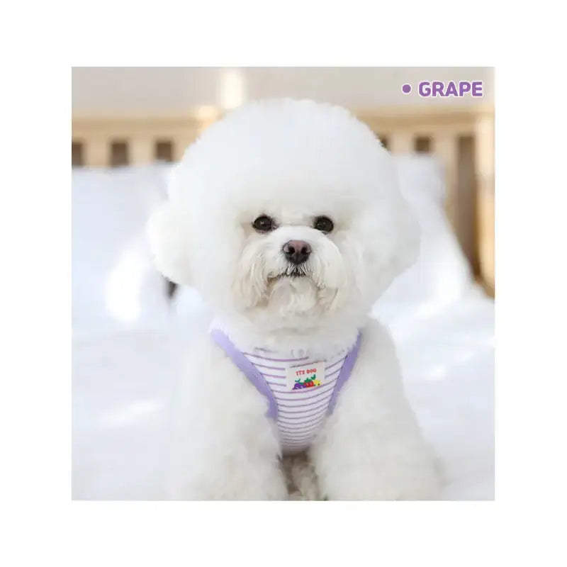 ITSDOG - Pet Jam Jam Peekaboo Sleeveless T-Shirt - ITSDOG - Pet Clothes - Harumio ITSDOG - Pet Jam Jam Peekaboo Sleeveless T-Shirt - ITSDOG - Pet Clothes - Harumio