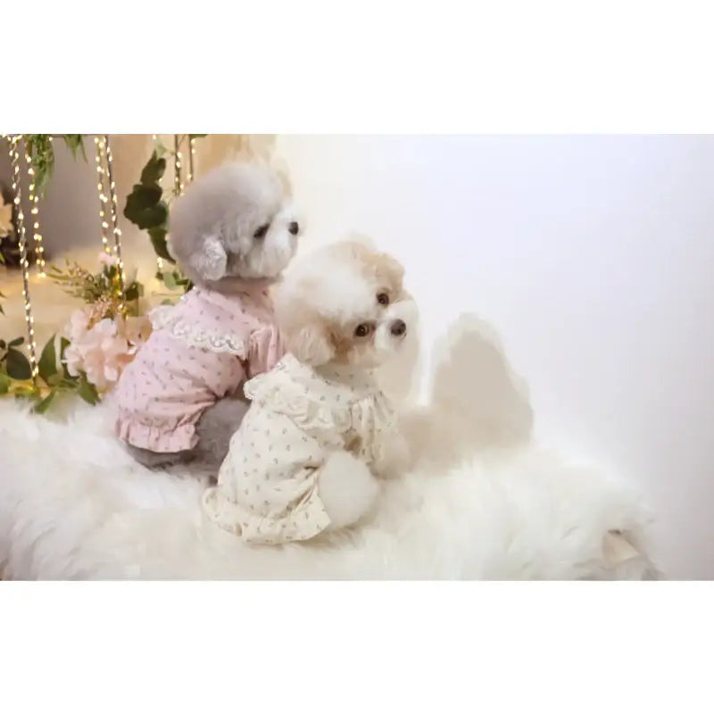 ITSDOG - Pet Versailles Puff T-Shirt - ITSDOG - Pet Clothes - Harumio