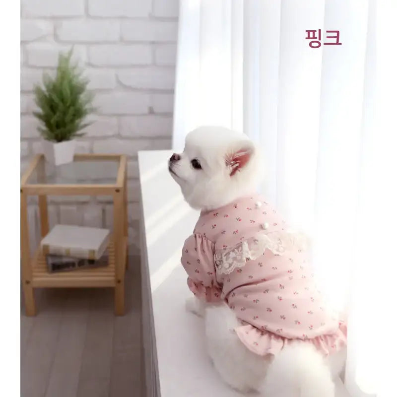 ITSDOG - Pet Versailles Puff T-Shirt - ITSDOG - Pet Clothes - Harumio ITSDOG - Pet Versailles Puff T-Shirt - ITSDOG - Pet Clothes - Harumio