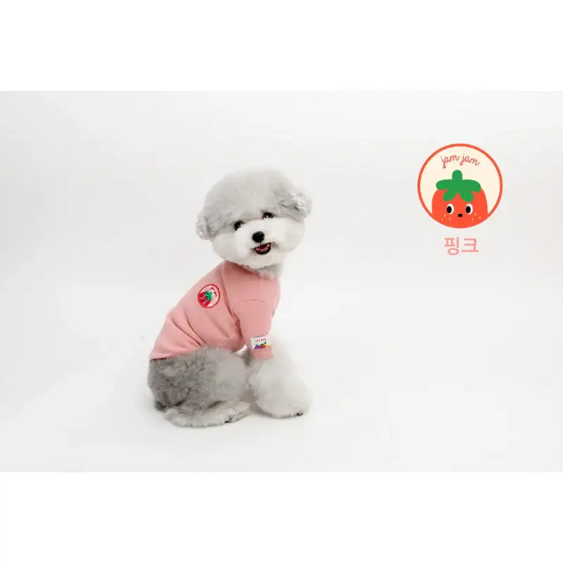 ITSDOG - Pet Jam Jam Fruits T-Shirt - ITSDOG - Pet Clothes - Harumio ITSDOG - Pet Jam Jam Fruits T-Shirt - ITSDOG - Pet Clothes - Harumio