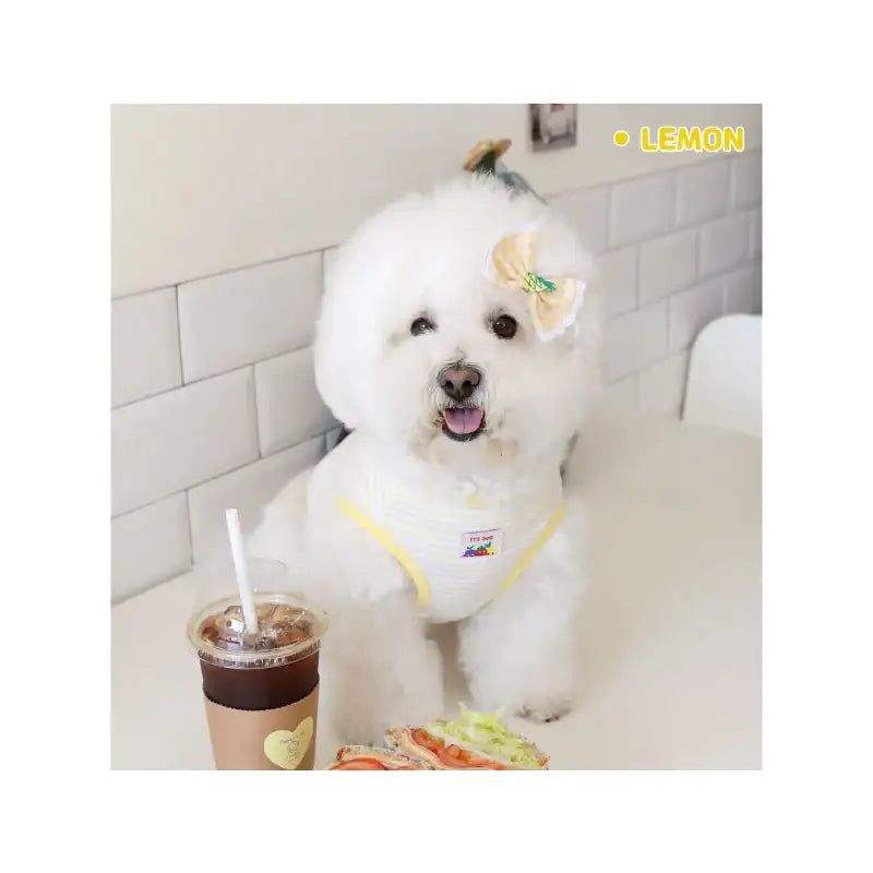 ITSDOG - Pet Jam Jam Peekaboo Sleeveless T-Shirt - ITSDOG - Pet Clothes - Harumio ITSDOG - Pet Jam Jam Peekaboo Sleeveless T-Shirt - ITSDOG - Pet Clothes - Harumio