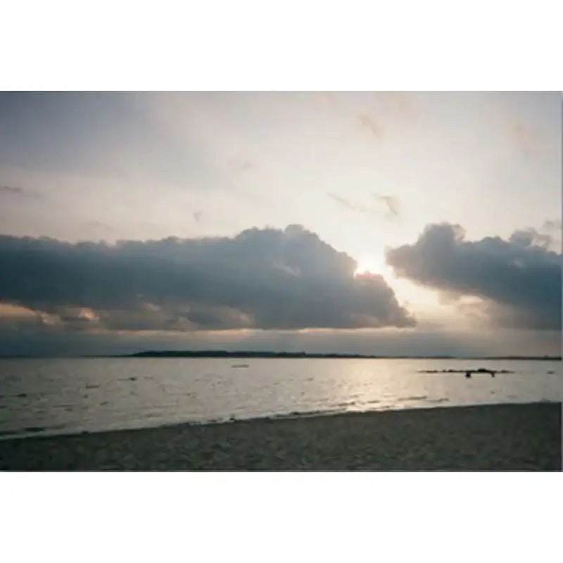 Stay With Us - European Postcard Series - Stay With Us - Postcard - Harumio